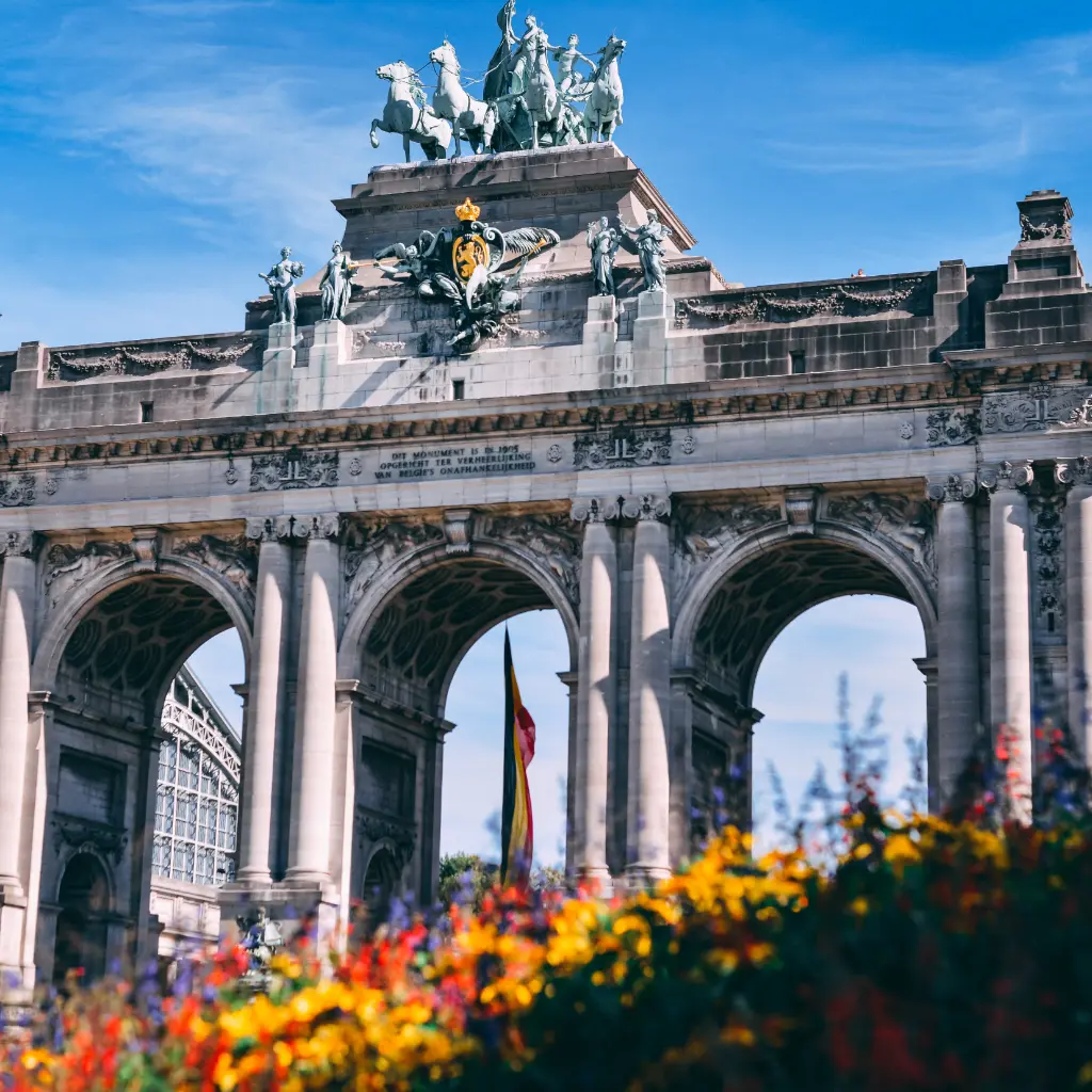 Belgica (3).webp