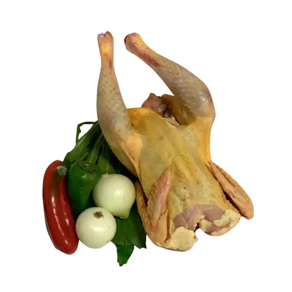 Pollo amarillo