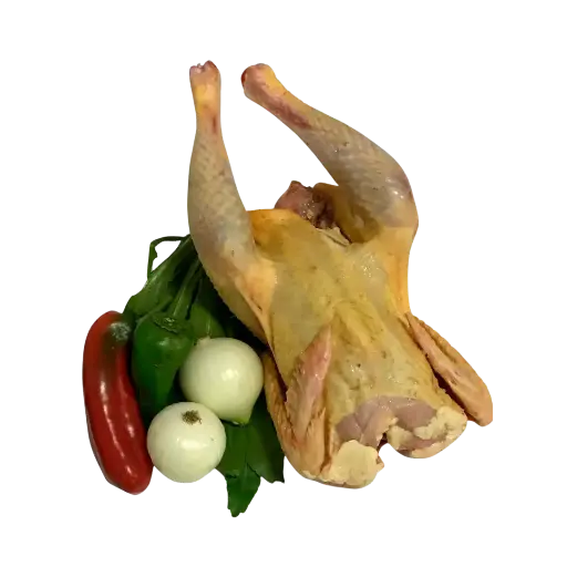 Pollo amarillo